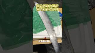 この魚の名前と重さ、当てられたらめちゃくちゃスゴイ#魚 #釣り #仕入れ #fishing #料理 #海鮮