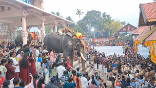 Pampady Rajan Ettumanoor Mahadeva Temple Ultsavam 2025 #pampadyrajan