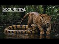 El Jaguar: El Documental Prohibido (2024)