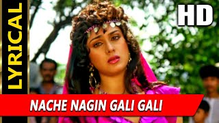 Nache Nagin Gali Gali With Lyrics | नाचे नागिन गली गली | साधना सरगम | Meenakshi Seshadri, Nitish