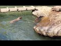 3月12日とくしま動物園へ行って来た🎵サバンナエリア