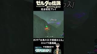 ゼルダの伝説BotW完全初見プレイ#29【ネルドラ遭遇編】