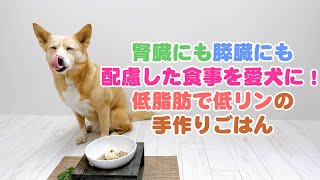 【簡単手作り犬ご飯】腎臓にも膵臓にも配慮した食事を愛犬に！低脂肪で低リンの手作りごはん【帝塚山ハウンドカム】