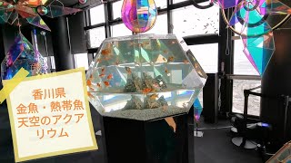 【旅行記/Vlog】香川県にあるゴールドタワーで「ソラキン：天空のアクアリウム/金魚や熱帯魚観賞」を子供と観に行ってきた