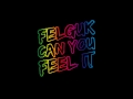 felguk can you feel it original mix