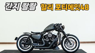 (판매완료)#할리데이비슨 포티에잇48 미친 자세를 보여줍니다