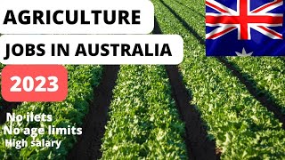 "Exploring Agriculture Jobs in Australia: Thriving Careers in the Land of Abundance"