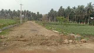 9618359929# DTCP Plots Achanta - Marteru Road