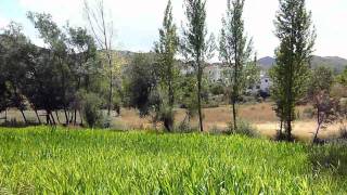 Hotel Rural 'El Ronzal', Tocón de Quéntar (Granada).