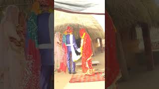 7 phere lete rajasthani video statues#rajsthanisong#rajasthani#rajasthanishadi#rajasthannews#ra