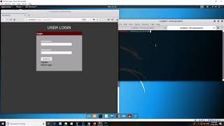 whitebox pentesting