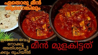 ഒരിക്കലെങ്കിലും ഇതുപോലെ തയ്യാറാക്കു | Meen mulakittathu | Meen curry | Fish Curry