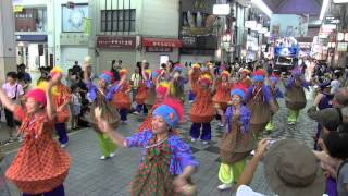 第61回よさこい祭り本祭2日目(2014/8/11)「なんててかんてて」