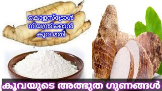 കൂവയുടെ ആരോഗ്യ ഗുണങ്ങൾ |Top 5 Health Benefits of Arrowroot Powder | Arrowroot to Control Cholesterol