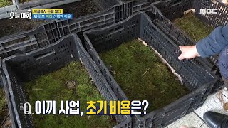 [생방송 오늘 아침] 귀촌 전문가가 선택한 사업 아이템은 ＂이끼＂?!, MBC 241107 방송