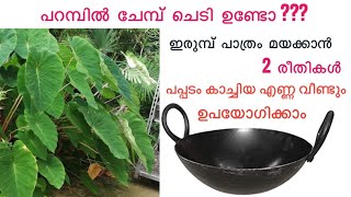 ചേമ്പ് ചെടി കൊണ്ട് ഇരുമ്പ് പാത്രം അടിപൊളി ആക്കാം | 2 new  methods to season iron pots