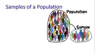 165 Representative or Biased Samples