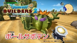 【ドラクエビルダーズ2】隠しアイテム ボールサボテン 入手場所 オッカムル島【DQB2】