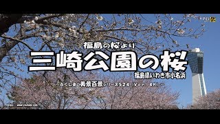 福島の桜より　Ｖｅｒ. 4Ｋ ～ いわき市小名浜　三崎公園の桜 ～