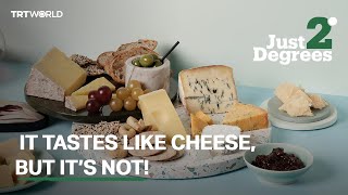 Just 2 Degrees: It tastes like cheese, but it's not!