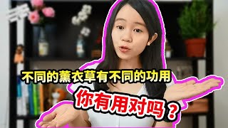 【香草Herbs系列】让你Ӡ分钟看懂薰衣草 |薰衣草功效 |简单易懂