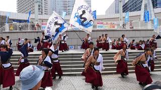 北里三陸湧昇龍（2018ハマこい・パシフィコ横浜「プラザ広場」・\