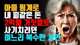 아들 핑계로 내 돈 2억을 사기치려던 며느리에게 복수한 사연   #사연 #사연라디오 #노후 #오디오북 #실화사연