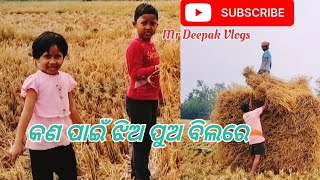 କଣ ପାଇଁ ଝିଅ ପୁଅ ବିଲରେ /mr deepak Vlogs