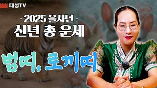 [대성TV📺] 2025 을사년 신년 총 운세 범띠, 토끼띠【Feat.용한점집 수원 별상장군】