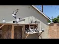 loft flying 2022 racing pigeons trap training young birds