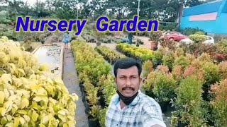 Nursery garden in Nagercoil / Rose plants / பூந்தோட்டம் / அனைத்து செடிகளும் ஒரே இடத்தில்