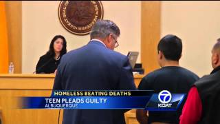 Teen pleads guilty to fatal homeless beatings