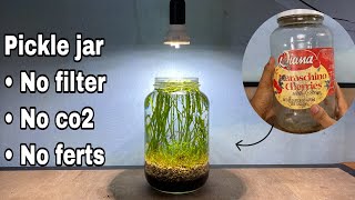 Setup LowTech Pickle Jar Aquascape | no filter, no co2, no ferts