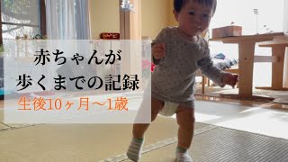 【成長記録】初タッチから歩けるようになるまで【生後10ヶ月から1歳】Baby practices walking.