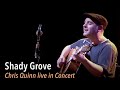 Shady Grove - Chris Quinn, Live In Concert