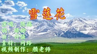 听陈瑞歌曲《雪莲花》看天山雪莲