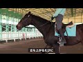 【動画で乗馬レッスン 10 2】正しい騎乗姿勢（後編）｜神戸からすぐの乗馬クラブ明石乗馬協会