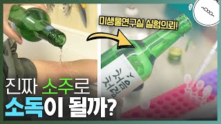 진짜 소주로 소독이 될까? 직접 실험했습니다. [미나니x처음처럼 꿀주]