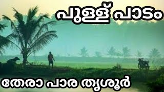 PULLU PADAM|പുള്ള് പാടം|Near manju variyar home|Iamaby|travel vlouge|beauty of thrissur 🥰🥰