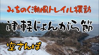 空散歩 津軽じょんがら節（旧節）