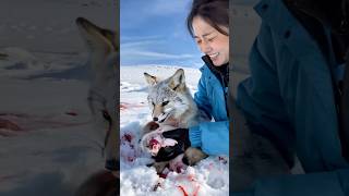 A Woman Helps a Fox: A Tale of Compassion in the Snow