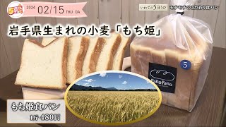 いわての５ほうび  〜PanoPano・岩手ならではのモチモチ食パン〜 ｜５きげんテレビ