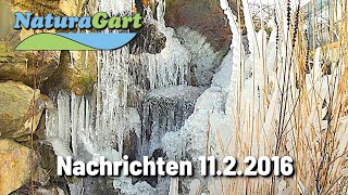 NaturaGart Nachrichten 11.02.2016: Schneeglöckchen, Teichtreff 2016, umweltfreundliche Teichfolien