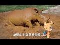 에버랜드 동물 동화 시리즈 2