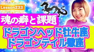 【魂の癖と課題】ドラゴンヘッド・テイル牡牛座蠍座