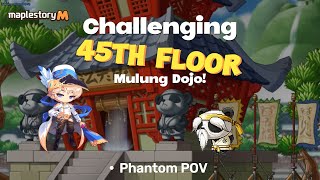 [MapleM] Mulung 45 Clear! (Tutorial)