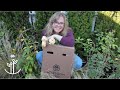 Adding New Roses to the Garden | How to Properly Plant a Container Rose!