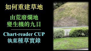 如何重建草地｜Step by Step DIY｜由荒廢花園變生機的九日｜香港人移英打理草地實錄