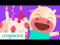 It's my Birthday 🎂 Song for Kids | Lingokids