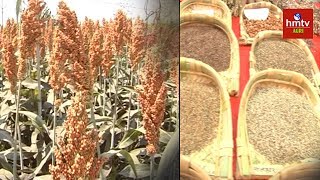 చిరుధాన్యాల సాగు విశిష్టత | Importance Of MIllets Cultivation | hmtv Agri